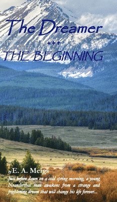 bokomslag The Dreamer - THE BEGINNING