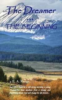 bokomslag The Dreamer - THE BEGINNING