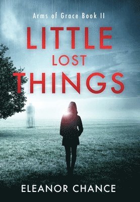 Little Lost Things 1