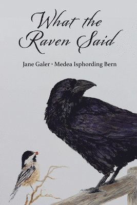 Jane Galer, Medea Isphording Bern - What the Raven Said, Häftad