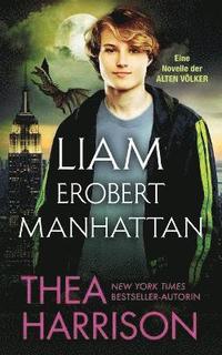 bokomslag Liam erobert Manhattan
