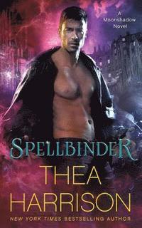 bokomslag Spellbinder