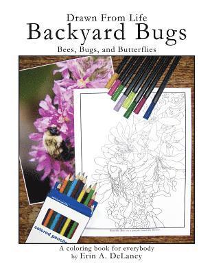 Drawn From Life Backyard Bugs: Bees, Bugs, and Butterflies 1