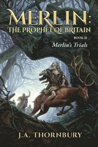 bokomslag Merlin's Trials
