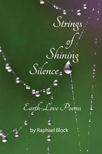 bokomslag Strings of Shining Silence