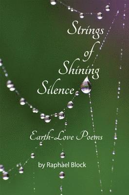 Raphael Block - Strings of Shining Silence, Häftad