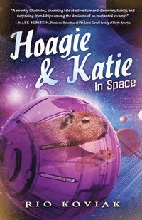 bokomslag Hoagie & Katie in Space