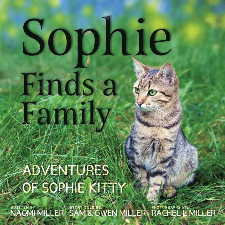 Sophie Finds a Family 1