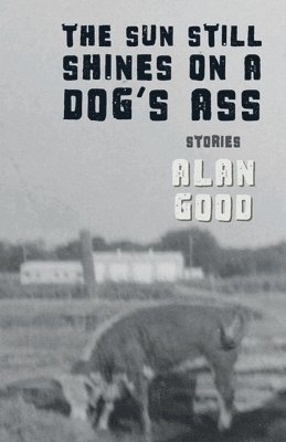 Alan Good - Sun Still Shines on a Dog's Ass, Häftad