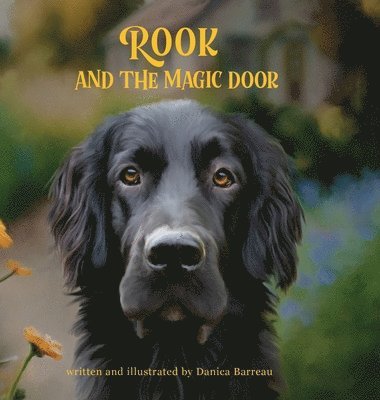 bokomslag Rook and the Magic Door