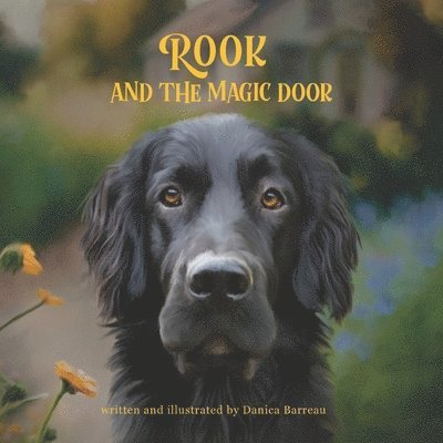 Rook and the Magic Door 1