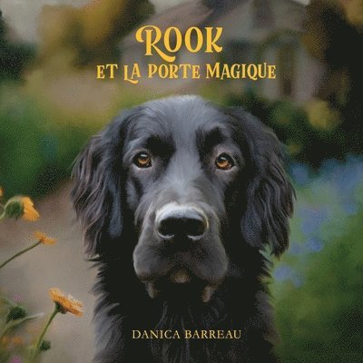 Rook et La Porte Magique (French Edition) 1