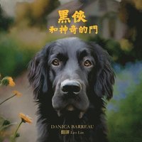 bokomslag Rook and the Magic Door (Chinese Edition) ???????