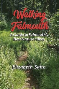 bokomslag Walking Falmouth