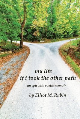 bokomslag my life if i took the other path: an episodic poetic memoir