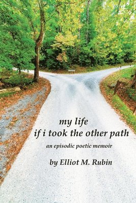 bokomslag my life if i took the other path: an episodic poetic memoir