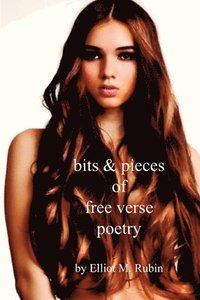 bokomslag Bits and Pieces of Free Verse Poetry
