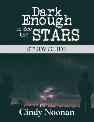 bokomslag Dark Enough to See the Stars Study Guide