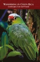 Wandering in Costa Rica 1