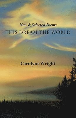 This Dream the World 1