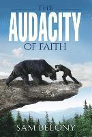 The Audacity of Faith 1