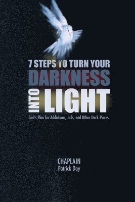 Patrick Day - 7 Steps to Turn Your Darkness Into Light, Häftad