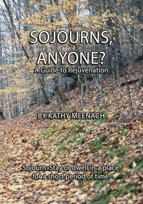 bokomslag Sojourns, Anyone?