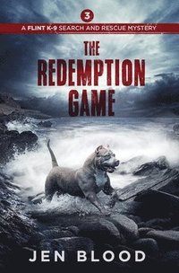 bokomslag The Redemption Game