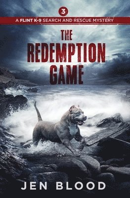 bokomslag The Redemption Game