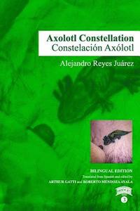bokomslag Axolotl Constellation