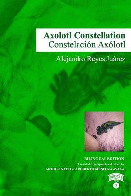 bokomslag Axolotl Constellation
