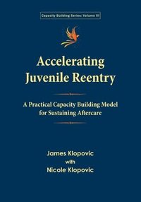 bokomslag Accelerating Juvenile Reentry