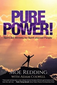 bokomslag Pure Power!: Spirit-Led Ministry for Spirit-Starved People
