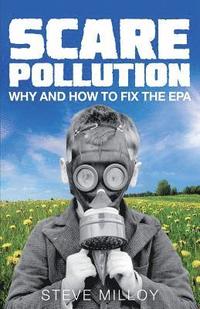 bokomslag Scare Pollution: Why and How to Fix the EPA