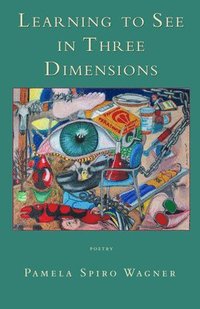 bokomslag Learning to See in Three Dimensions: Poetry