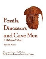 bokomslag Fossils, Dinosaurs and Cave Men