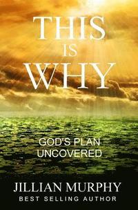 bokomslag This is WHY: God's Plan Uncovered