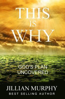Jillian Murphy - This is WHY: God's Plan Uncovered, Häftad