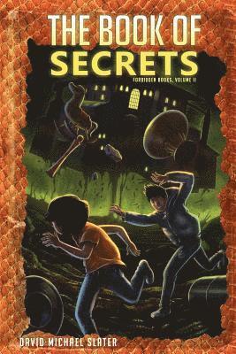 David M. Slater - The Book of Secrets, Häftad