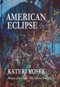 bokomslag American Eclipse