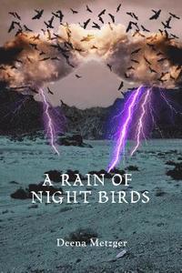 bokomslag A Rain of Night Birds