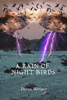 A Rain of Night Birds 1