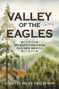 bokomslag Valley of the Eagles