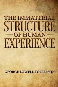 bokomslag The Immaterial Structure of Human Experience