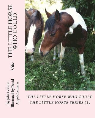 The Little Horse Who Could: The Little Horse Series (1) 1