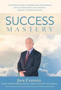 bokomslag Success Mastery