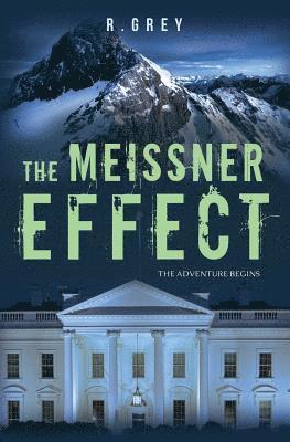The Meissner Effect: The Adventure Begins 1