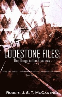 bokomslag The Lodestone Files: The Things in the Shadows