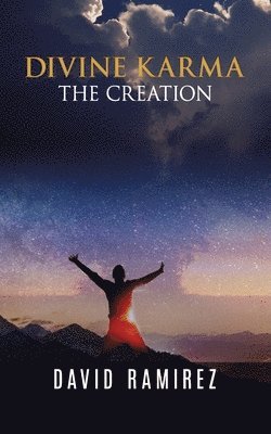 bokomslag Divine Karma