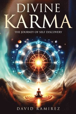 bokomslag Divine Karma